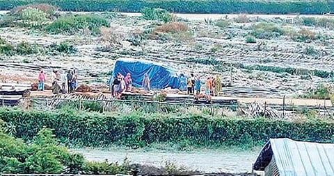 உதகையில் புல்வெளி மீது வெண் கம்பளம் போரத்தியதுபோல் நேற்று காலை காணப்பட்ட பனிப்பொழிவு. படம்: ஆர்.டி.சிவசங்கர்