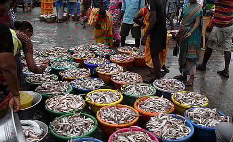 சென்னை | காசிமேட்டில் களைகட்டிய மீன் விற்பனை