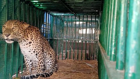 கோப்புப் படம்