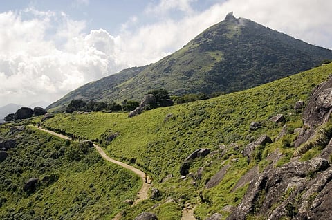 பிரதிநிதித்துவப்படம்