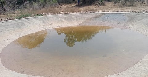  அஞ்செட்டி வனச்சரகம் பிலிகுண்டுலு பகுதியில்  வனவிலங்குகள் தண்ணீர் குடிக்க தொட்டியில் நீர் நிரப்பும் பணியில் வனத்துறையினர் ஈடுப்பட்டுள்ளனர்