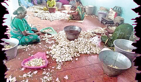 வெளிமாநிலத்திலிருந்து வந்த வெள்ளைப்பூண்டுகளை