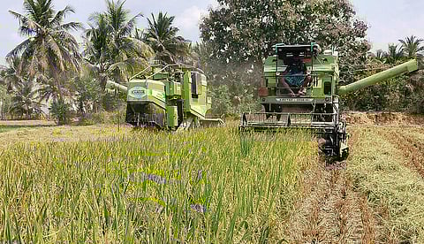 தஞ்சாவூர் மாவட்டம் பாச்சூர் பகுதியில் சம்பா நெல் அறுவடையில் ஈடுபட்ட அறுவடை இயந்திரங்கள். | படங்கள்: ஆர்.வெ ங்கடேஷ்