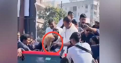 நடந்தது என்ன? - நாய் பிஸ்கெட் சர்ச்சை வீடியோவுக்கு ராகுல் காந்தி விளக்கம்