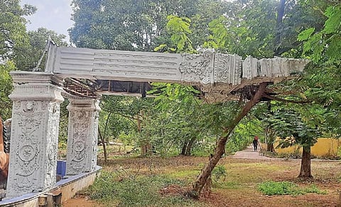 படம்: எஸ்.கிருஷ்ணமூர்த்தி