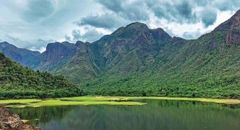 4-ம் ஆண்டில் ஸ்ரீவில்லி. மேகமலை புலிகள் காப்பகம் - சூழல் சுற்றுலா மேம்படுத்தப்படுமா?