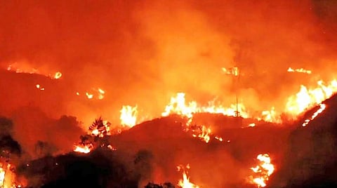 கோப்புப் படம்