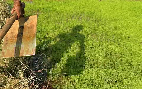 பிரதிநிதித்துவப் படம்