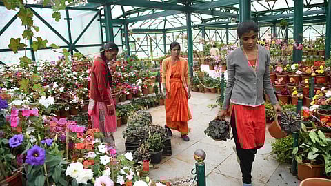 ஊட்டி ரோஜா பூங்கா.