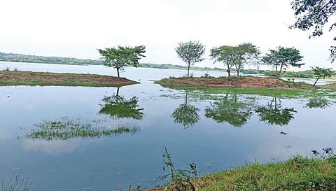பறவைகள் சரணாலயம் அமைந்துள்ள வடுவூர் ஏரியில் ஆண்டு முழுவதும் போதிய நீர் இருப்பு