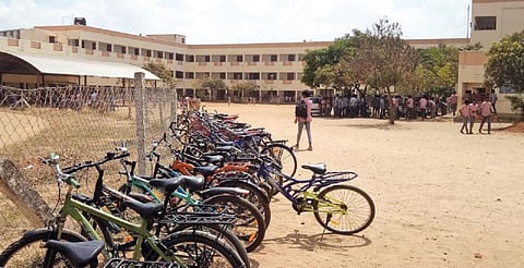 படம்: இரா.கார்த்திகேயன்