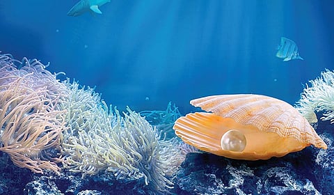 உலகம் - நாளை - நாம் - 44: முத்துக் குளிக்க வாரீகளா