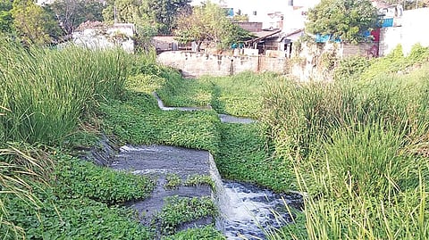 செல்லூர் கண்மாயில் இருந்து வெளியேறும் கழிவுநீர்.