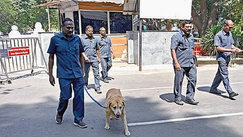 சென்னை தலைமைச் செயலகத்துக்கு நேற்று வெடிகுண்டு மிரட்டல் விடுக்கப்பட்டது. இதன் காரணமாக தலைமைச் செயலக வளாகம் முழுவதும் மோப்ப நாய்களை கொண்டு வெடிகுண்டு நிபுணர்கள் அதிரடியாக சோதனை நடத்தினர். படம்: ம.பிரபு