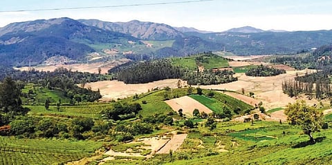 நீலகிரி மாவட்டத்தில் குடிநீர் தட்டுப்பாடு அபாயம்