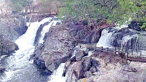 ஒகேனக்கல் காவிரியாற்றில் நேற்று காலை நீர்வரத்து விநாடிக்கு 4,000 கன அடியாக அதிகரித்தபோது பிரதான அருவி பகுதியில் ஆர்ப்பரித்துக் கொட்டும் வெள்ளம்.