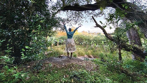 வனச் சுற்றுலா: குரங்குகளின் கூக்குரலும் மயில்களின் தரிசனமும்