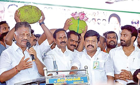 பலாப்பழத்தை மறந்து பழக்க தோஷத்தில் இரட்டை இலைக்கு வாக்கு கேட்ட ஓபிஎஸ்