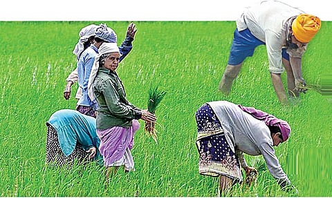 விவசாயிகளின் மனதில் என்ன இருக்கிறது? | தேர்தல் எதிர்பார்ப்புகள்