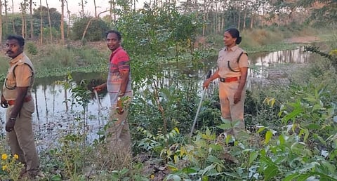 தஞ்சை மாவட்ட வனப்பகுதியில் சிறுத்தை நடமாட்டம் குறித்து  வனத்துறையினர் ஆய்வு செய்தனர்.