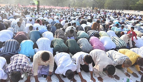 படம்: எஸ். கிருஷ்ணமூர்த்தி