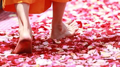 பிரதிநிதித்துவப் படம்