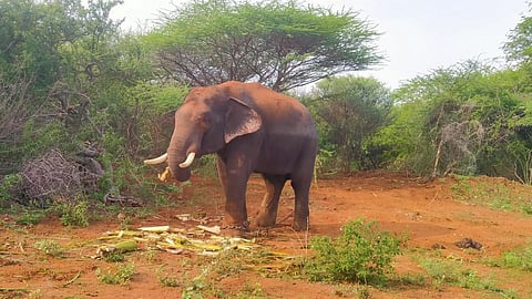 கோப்புப் படம்