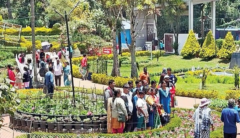 கொடைக்கானல் பிரையன்ட் பூங்காவில் குவிந்துள்ள சுற்றுலாப் பயணிகள்.