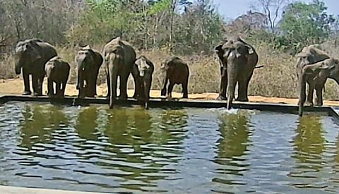 ஜவளகிரி வனப்பகுதியில் வனத்துறையினர் அமைத்துள்ள தண்ணீர் தொட்டியில் யானைகள் கூட்டமாக வந்து தண்ணீர் அருந்தின.