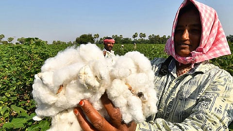 பிரதிநிதித்துவப் படம்