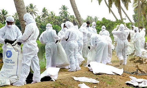 பிரதிநிதித்துவப் படம்