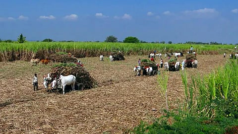 பிரதிநிதித்துவப் படம்
