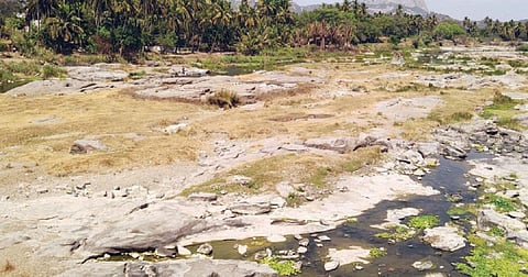 குறைந்த அளவே நீர்வரத்து உள்ளதால், காவேரிப்பட்டணம் தென்பெண்ணை ஆற்றின் வழித்தடம் பாறைகளாக காட்சியளிக்கிறது.