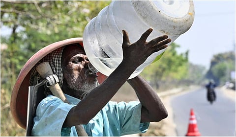 படம்: எம்.வேதன்