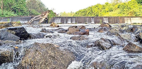 மேற்குத் தொடர்ச்சி மலையடிவாரத்தில் பெய்த மழையால் வருசநாடு அருகே உருட்டுமேடு தடுப்பணையில் ஏற்பட்ட நீர்வரத்து.