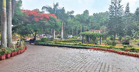 ஏற்காட்டில் நேற்று பெய்த சாரல் மழையின்போது, அழகுடன் காட்சியளித்த அண்ணா பூங்காவின் ஒரு பகுதி.