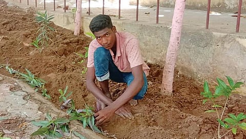 மதுரை எழுமலை அரசு மேல்நிலைப் பள்ளியில் விடுமுறையில் தனி ஒருவனாக சுய விருப்பத்துடன் பூச்செடிகள் நட்டு வளர்க்கும் பிளஸ் 2 மாணவர் பீமன்.