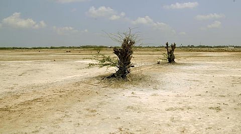 காவிரியின் ஈரத்தைக் காக்க...