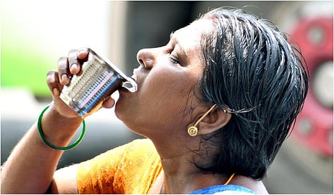 படம்: நா.தங்கரத்தினம்