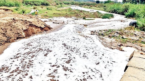 பேரணாம்பட்டு சுற்றுவட்டாரத்தில் பெய்த மழையால் மலட்டாற்றில் ஏற்பட்ட வெள்ளத்தால் பச்சக்குப்பம் பாலாற்றில் வெள்ளப்பெருக்கு ஏற்பட்டது.