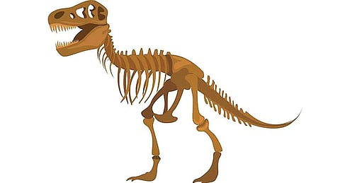 டிங்குவிடம் கேளுங்கள்: டைனசோர்களின் எலும்புகள் எப்படிக் கிடைக்கின்றன?