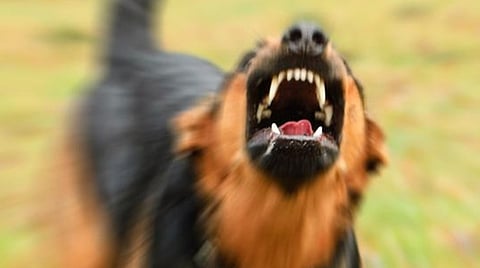 கோப்புப்படம்