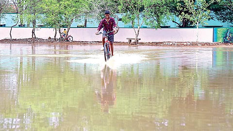 கிருஷ்ணகிரியில் நேற்று அதிகாலை பெய்த மழையால், அரசு ஆண்கள் மேல்நிலைப் பள்ளி மைதானத்தில் குளம்போல தேங்கிய மழை நீரில் உற்சாகத்துடன் சைக்கிள் ஓட்டிச் சென்ற சிறுவன். எஸ்.கே.ரமேஷ்