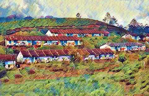 அரசின் செவிகளை எட்டுமா மாஞ்சோலையின் அபயக் குரல்?