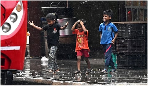 படம்: எஸ்.சத்தியசீலன்