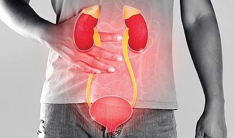 டாக்டர் பதில்கள் 32: உயிர் வாழ ஒரு சிறுநீரகம் மட்டும் போதுமா?