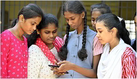 கோப்பு படம் | புகைப்படம்: அகிலா ஈஸ்வரன்