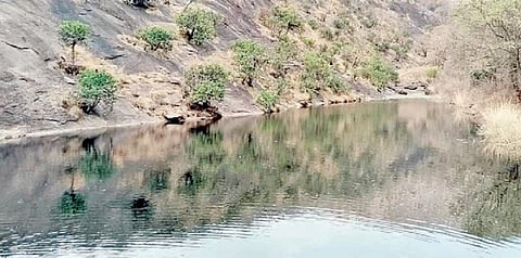 பொள்ளாச்சி வனச்சரகத்துக்கு உட்பட்ட கோபால்சாமி மலை வனப்பகுதி யில் உள்ள தடுப்பணை கோடை மழையால் நிரம்பியுள்ளது.