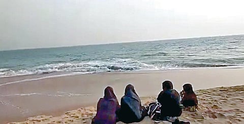 லெமூர் கடற்கரையை ரசிக்கும் சுற்றுலாப் பயணிகள்.