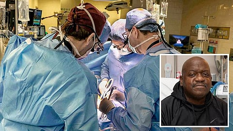 பன்றியின் சிறுநீரகத்தை பொருத்திக் கொண்ட நபர் உயிரிழப்பு!